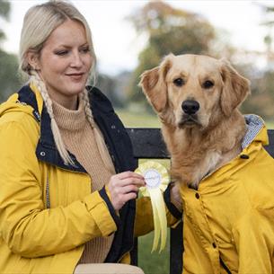 A woman sitting on a bench with a golden retriever in matching yellow coats