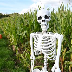 Skeleton in a field - Family Time Scare Night at Thorpe Farm Centre.