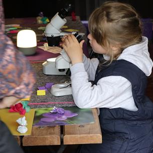 Child looking at a flower using a microscope.