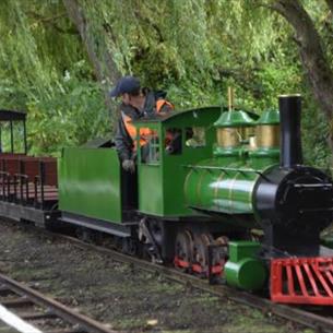 A small green steam train moving through nature 
