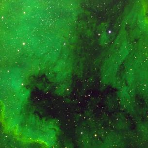 Wide-field view of the North America Nebula, a vast cloud of glowing green gas and dark dust scattered with thousands of stars.