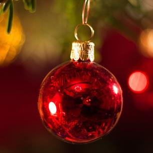 A red Christmas bauble on a tree.