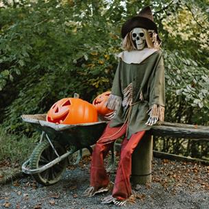 A spooky skeleton wearing medieval clothing propped up in a forest next to a wheel barrow full of carved pumpkins.