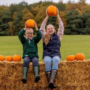 Two children sat on a hay bail in an autumnal field, smiling whilst holding up two pumpkins, and surrounded by other pumpkins either side of them.