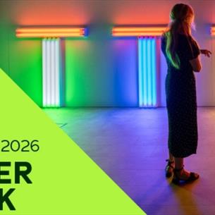 Poster for After Dark social events taking place at The Light, A person standing facing an exhibit.