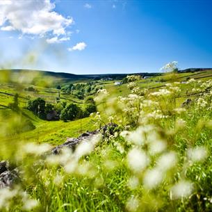 Pennine Journey - Durham Section