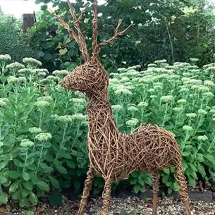 A willow reindeer