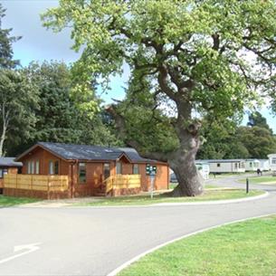 Witton Castle Country Park