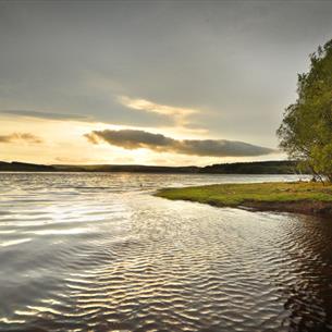 North Pennines Area of Outstanding Natural Beauty  Guided Walk: Two Hills