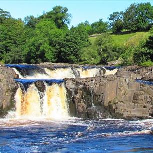 Tees Riverside and Hay Meadows Walk