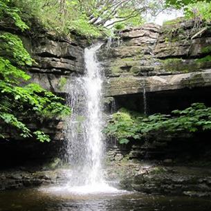 Waterfall at Gibson's Cave, situated nearby to Bowlees Visitor Centre