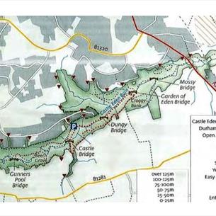 Castle Eden Dene - The Squirrel Walk