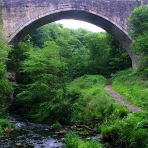 Causey Arch Picnic Area Walking Route