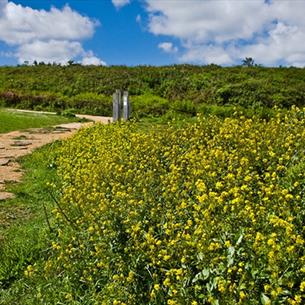 Walking on the Durham Heritage Coast