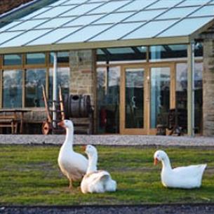 Cross Lanes Organic Farm Shop