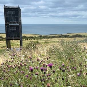Easington beach banks