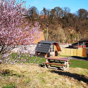 Finchale Abbey Camping Pods Durham