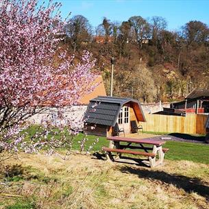 Finchale Abbey Camping Pods Durham