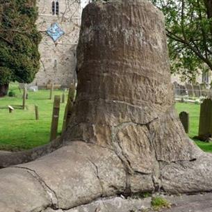 Stanhope Fossil Tree