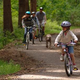 Family cycling