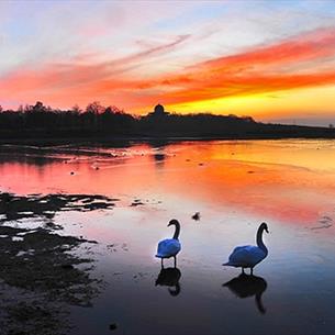 Hardwick Park at sunset