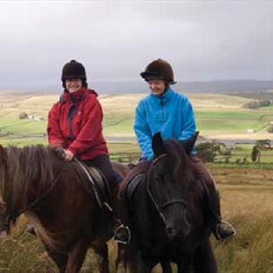 Horse Riding: Blanchland Packhorse Trail - Horse