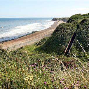 View of Nose's Point