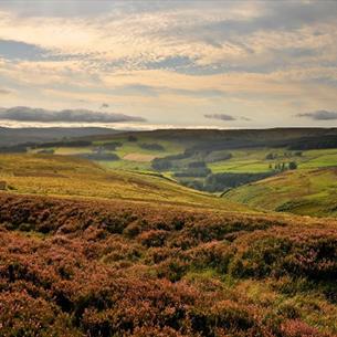 Autumn hills at North Pennines Area of Outstanding Natural Beauty (AONB)