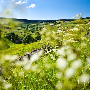 Spring in the North Pennines