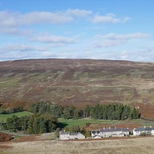 View over Belle View Cottage near Frosterley Weardale