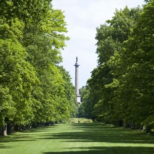 Trees and a part area at National Trust - Gibside