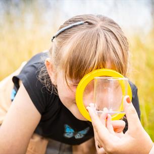 Girl looking through a magnifying glass into a bug pot