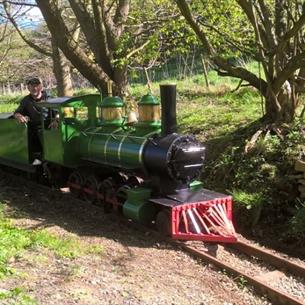 Train on the Thorpe Light Railway