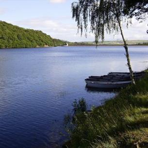 Tunstall Circular Walk