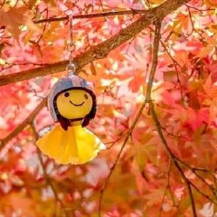 Japanese weather doll hanging from a tree