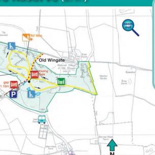 Wingate Quarry Local Nature Reserve Walk