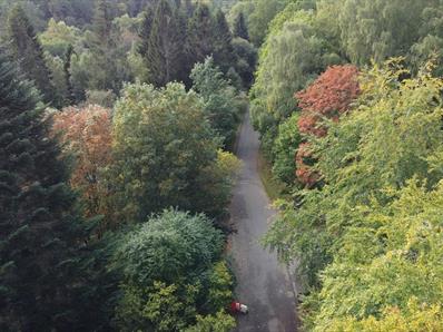 Walking at Hamsterley Forest