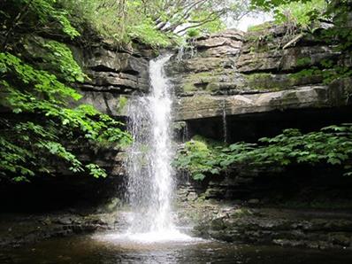 Waterfall at Gibson's Cave, situated nearby to Bowlees Visitor Centre