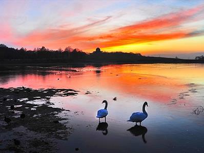 Hardwick Park at sunset