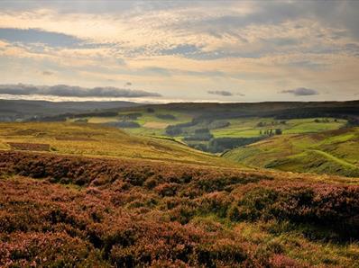 Autumn hills at North Pennines Area of Outstanding Natural Beauty (AONB)