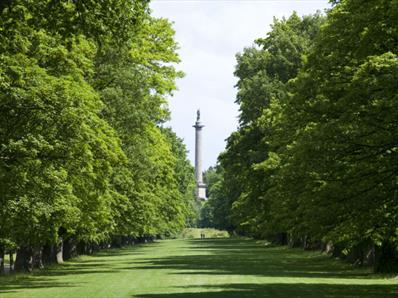 Trees and a part area at National Trust - Gibside