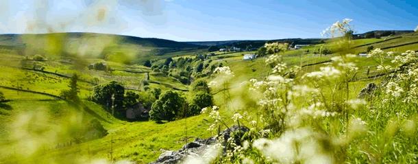 Explore the Durham Dales