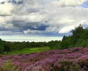 Thumbnail for Durham Heritage Golf Trails