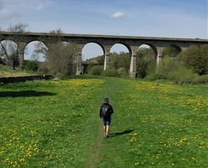 Newton Cap Viaduct, Bishop Auckland