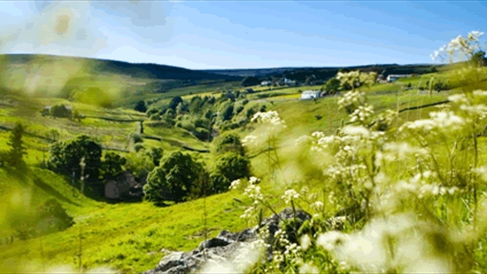 Explore the Durham Dales Official visitor information website for Durham
