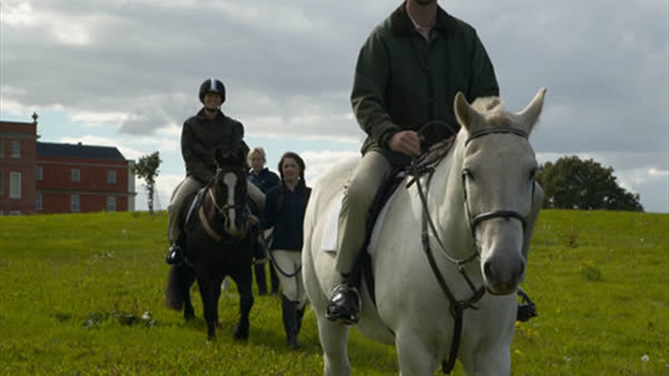 Horse Riding This is Durham