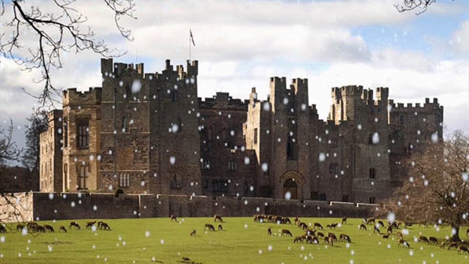 Festive Fun at Raby Castle This is Durham