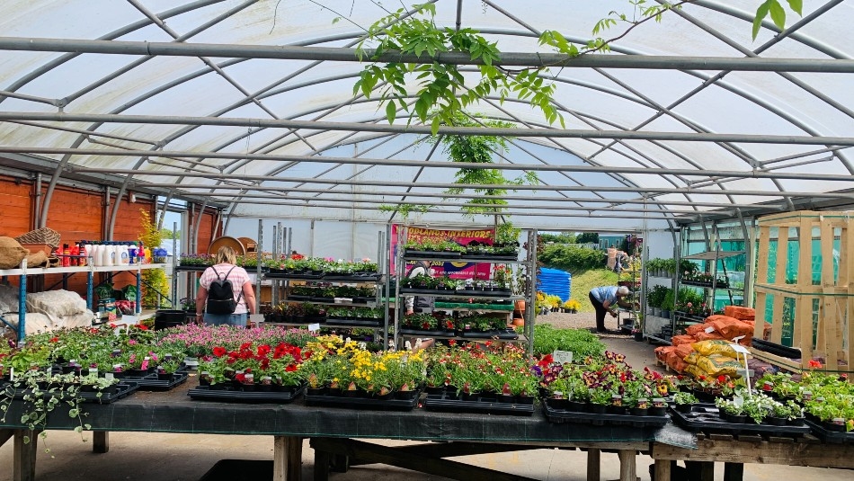 Congburn Nurseries & Garden Centre This is Durham