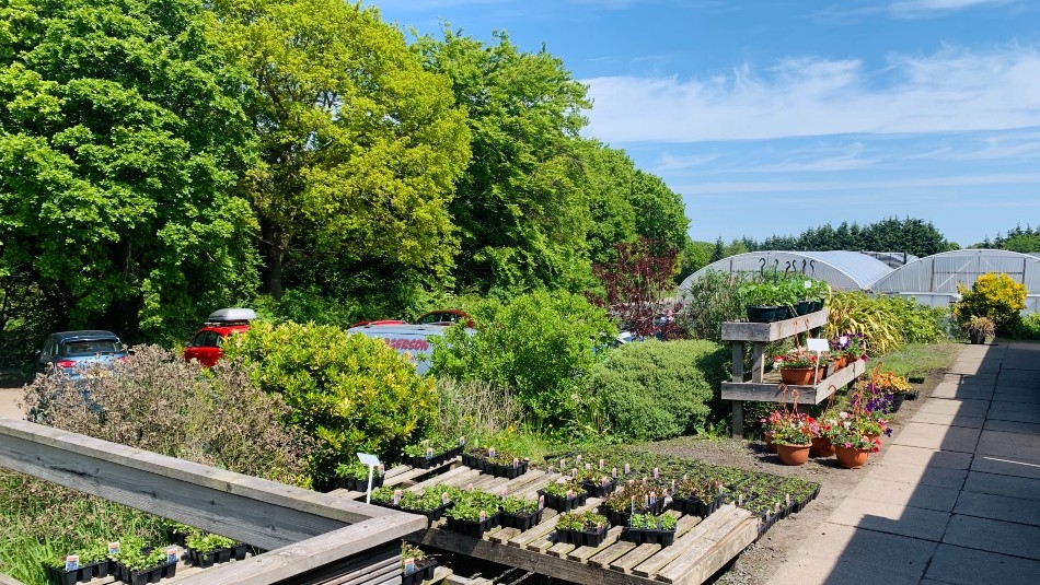 Congburn Nurseries