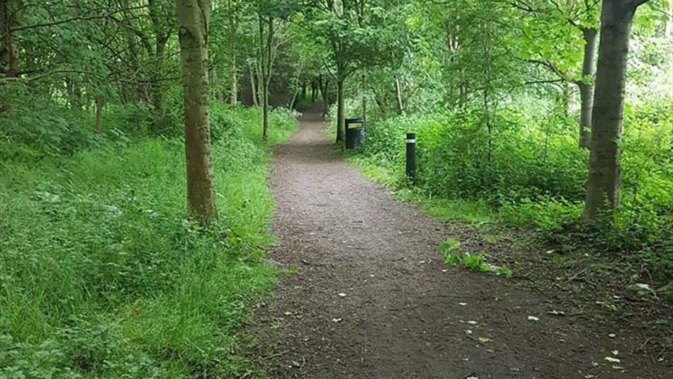 Great Aycliffe Way - This is Durham